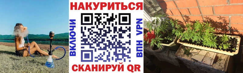 площадка как зайти  Красный Сулин  Шишки марихуана марихуана 